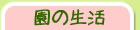 新富幼稚園一日の流れ