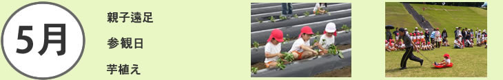 5月親子遠足、参観日、芋植え